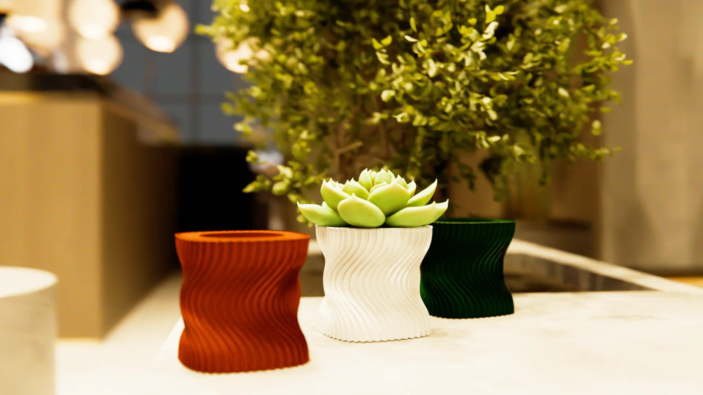 Macetero moderno suculentas torcido