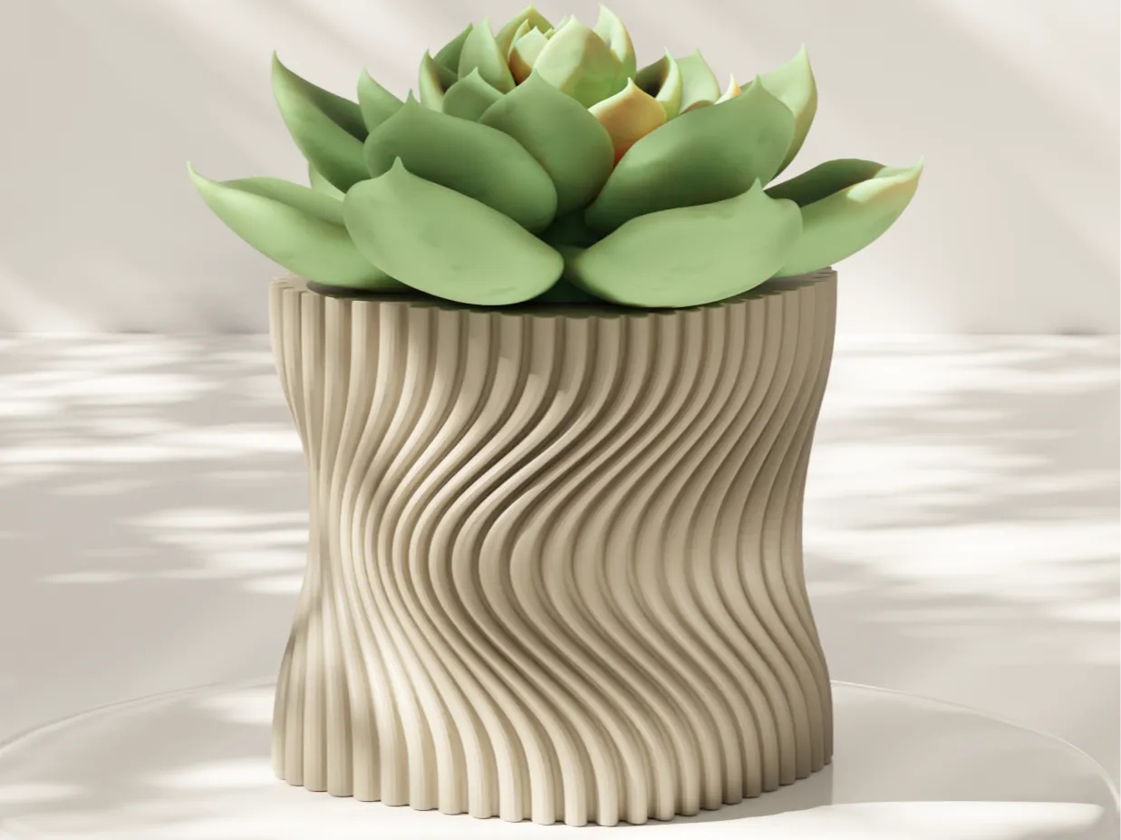 Macetero moderno suculentas torcido