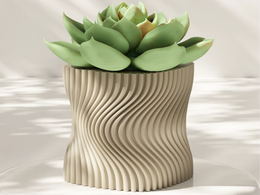 Macetero moderno suculentas torcido