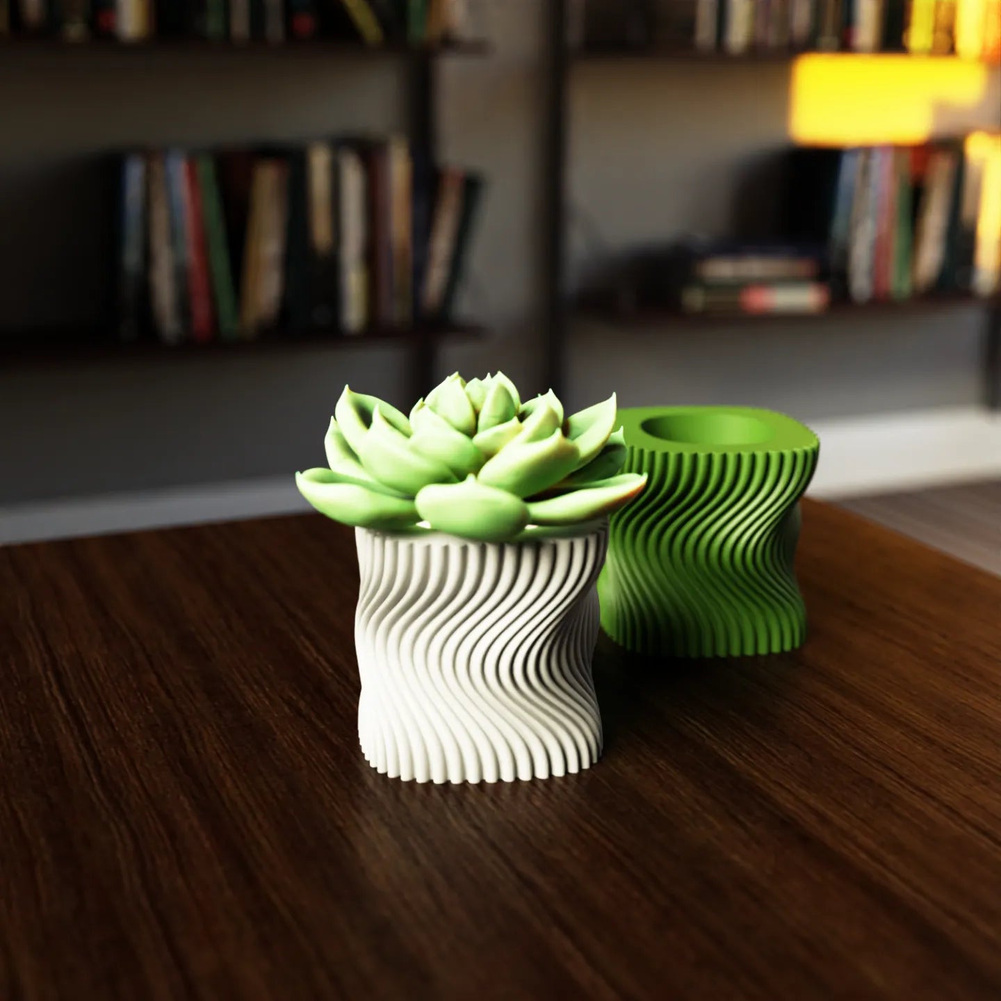 Macetero moderno suculentas torcido