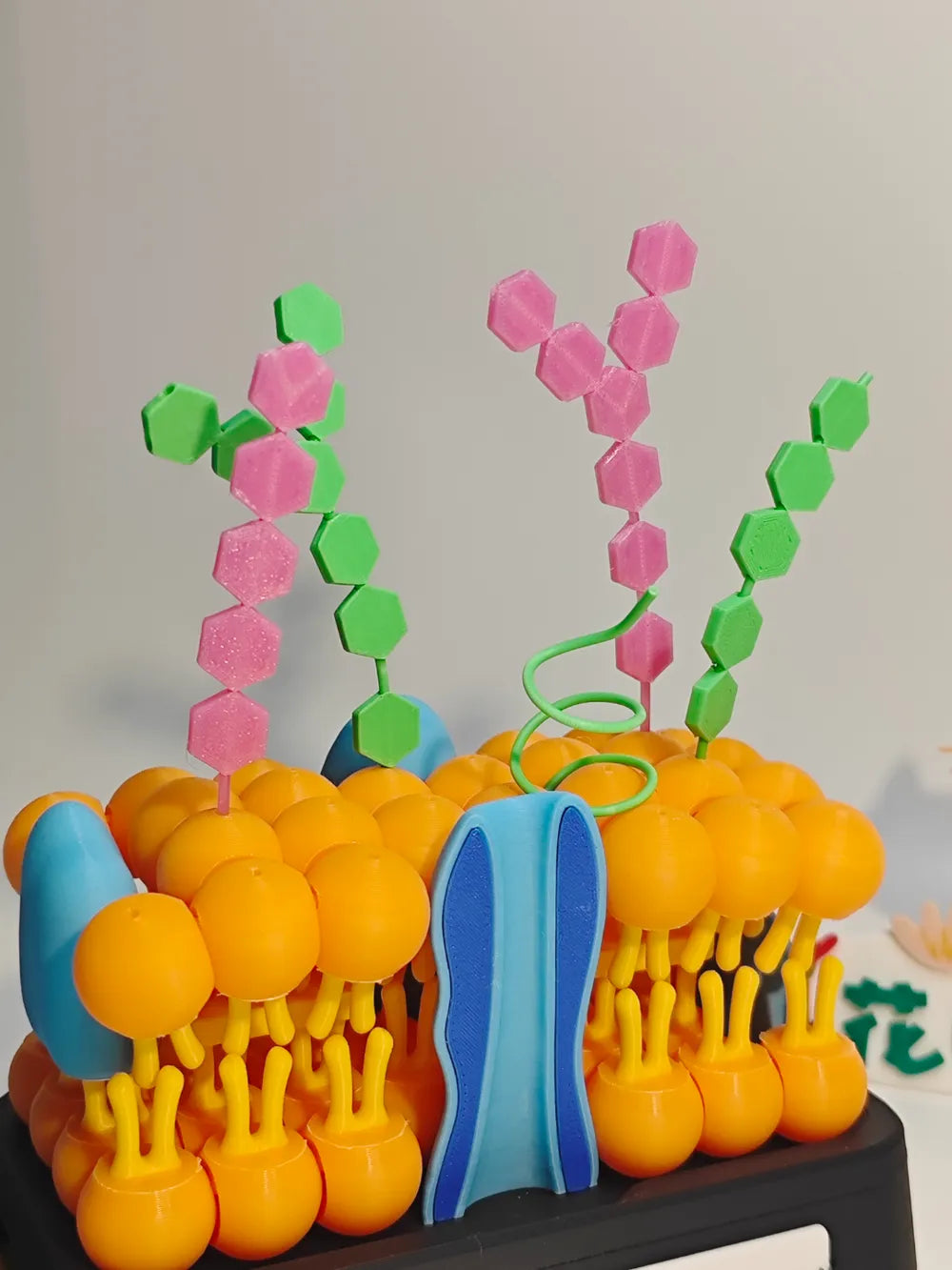 Modelo anatómico de mosaico fluido