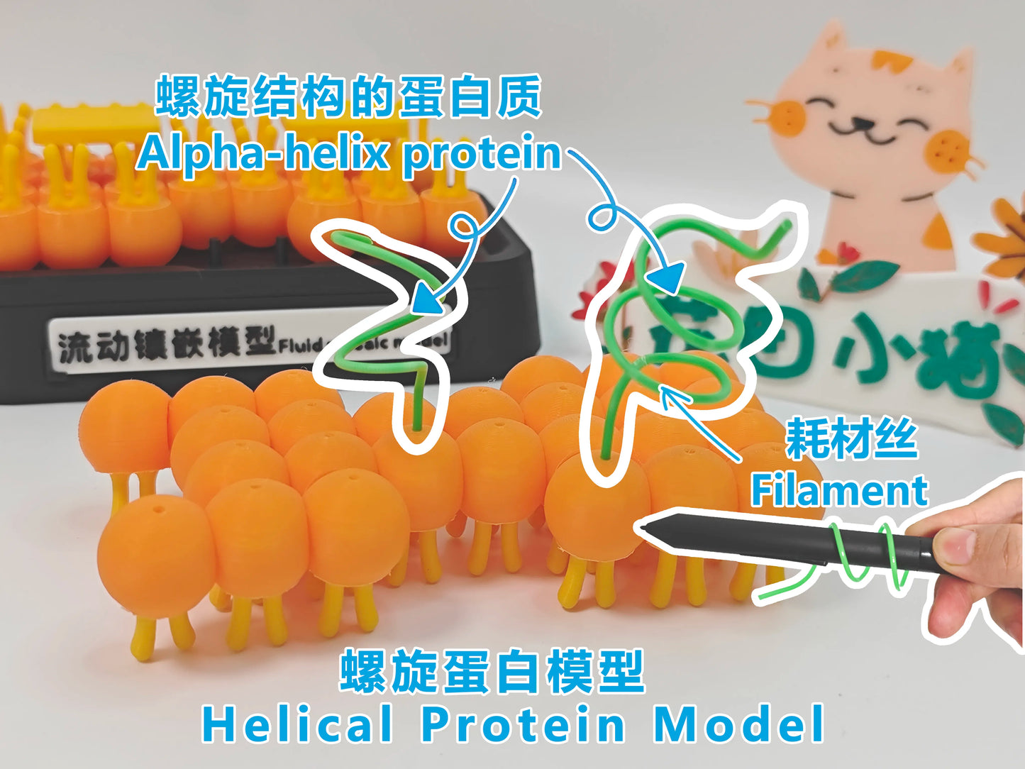 Modelo anatómico de mosaico fluido