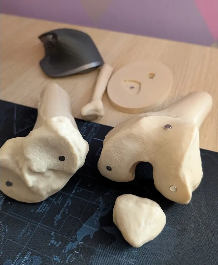 Modelo Anatómico Rodilla